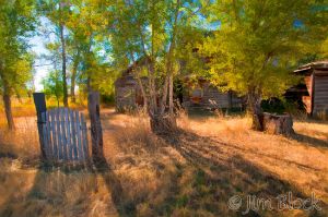 16  DG100D-Deserted-House-in-Willow-Creek--part-simple.jpg